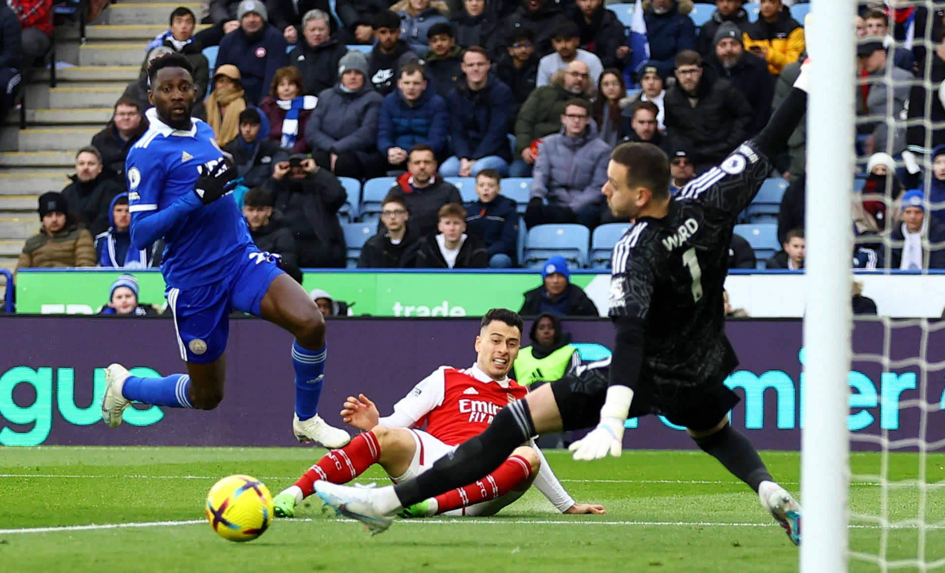 平衡与调节 平衡与调节