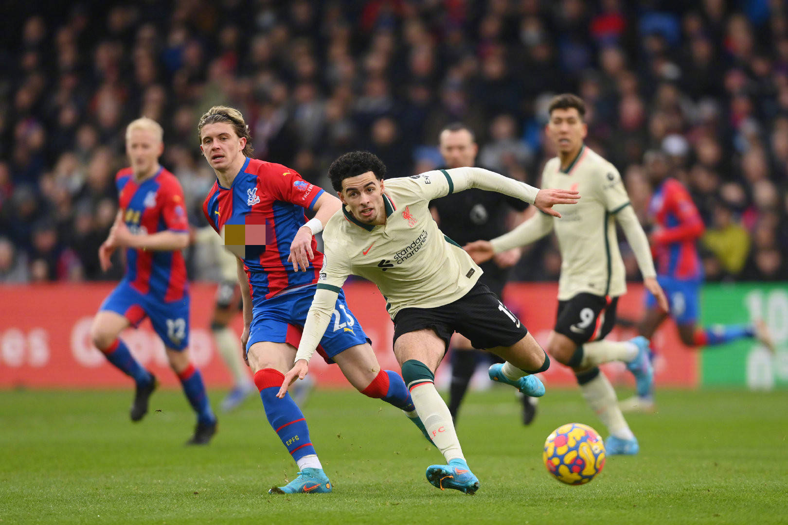 古克什以 古克什以